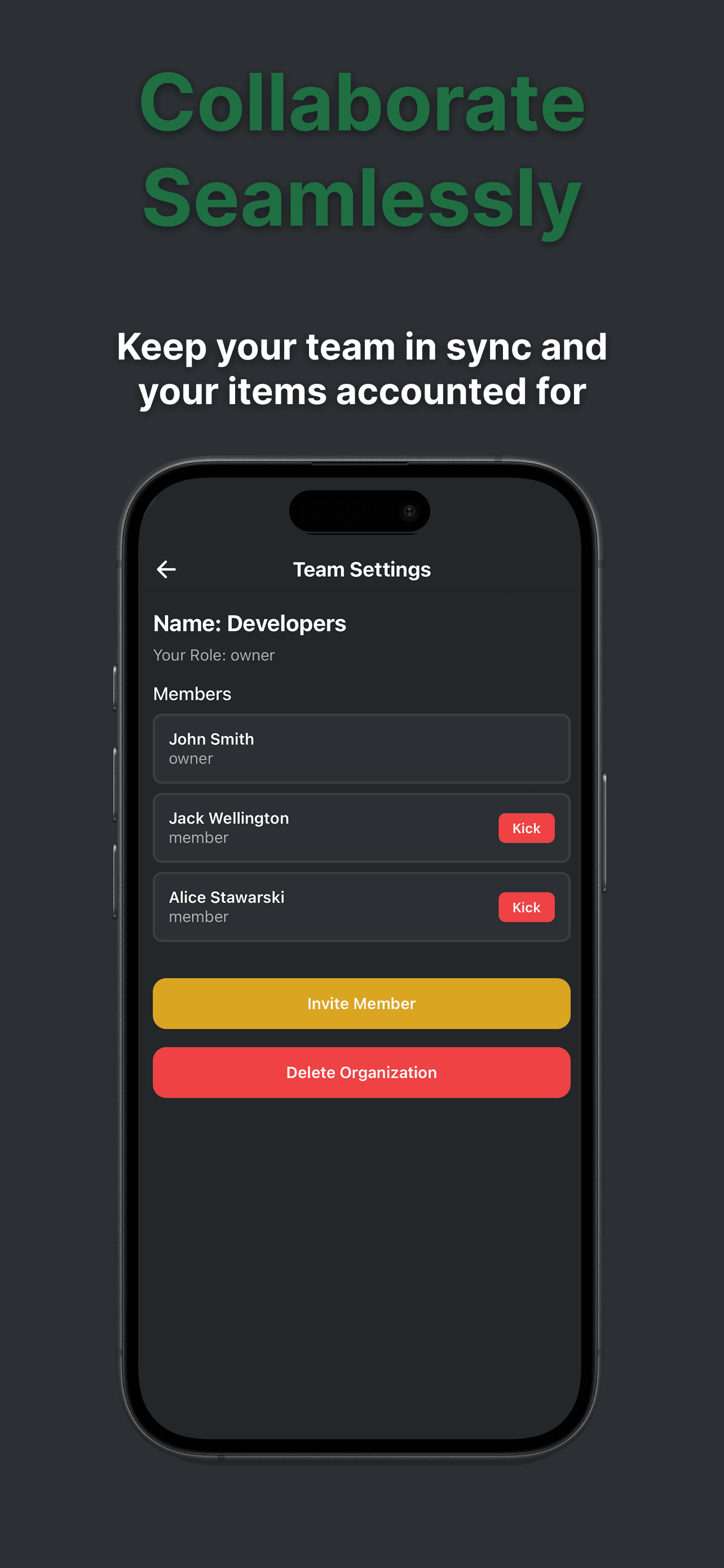 Bintech Team Management